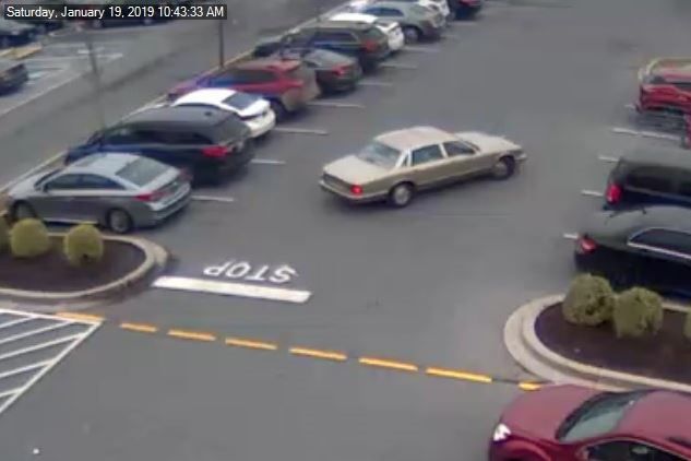 SuspectMasterbatorCar.jpg